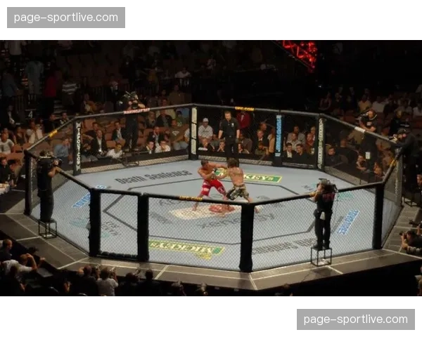 UFC宣布计划于2027年在非洲大陆举办首场数字赛